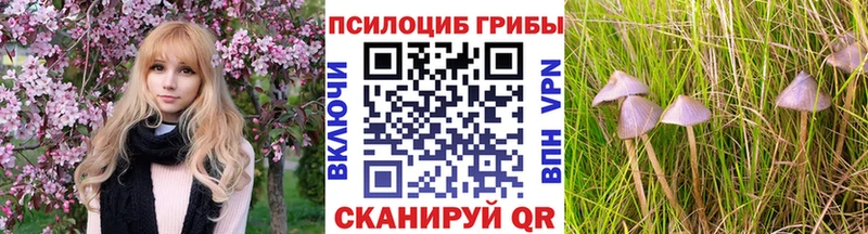 blacksprut зеркало  даркнет сайт  Павловская  Псилоцибиновые грибы мухоморы 